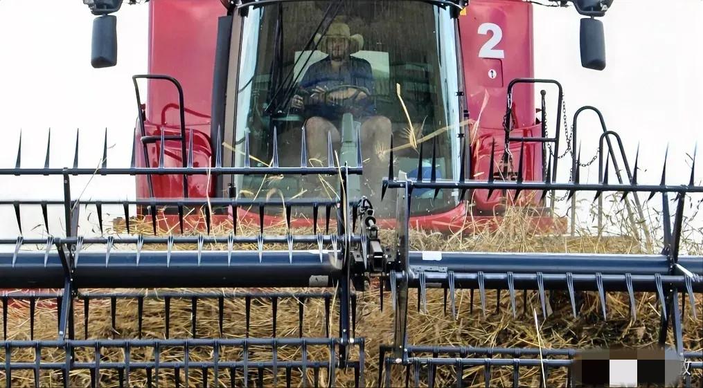 澳大利亚天塌了在加拿大总理卡尼上周访华之后，一家中国进口商购买了一批加拿大