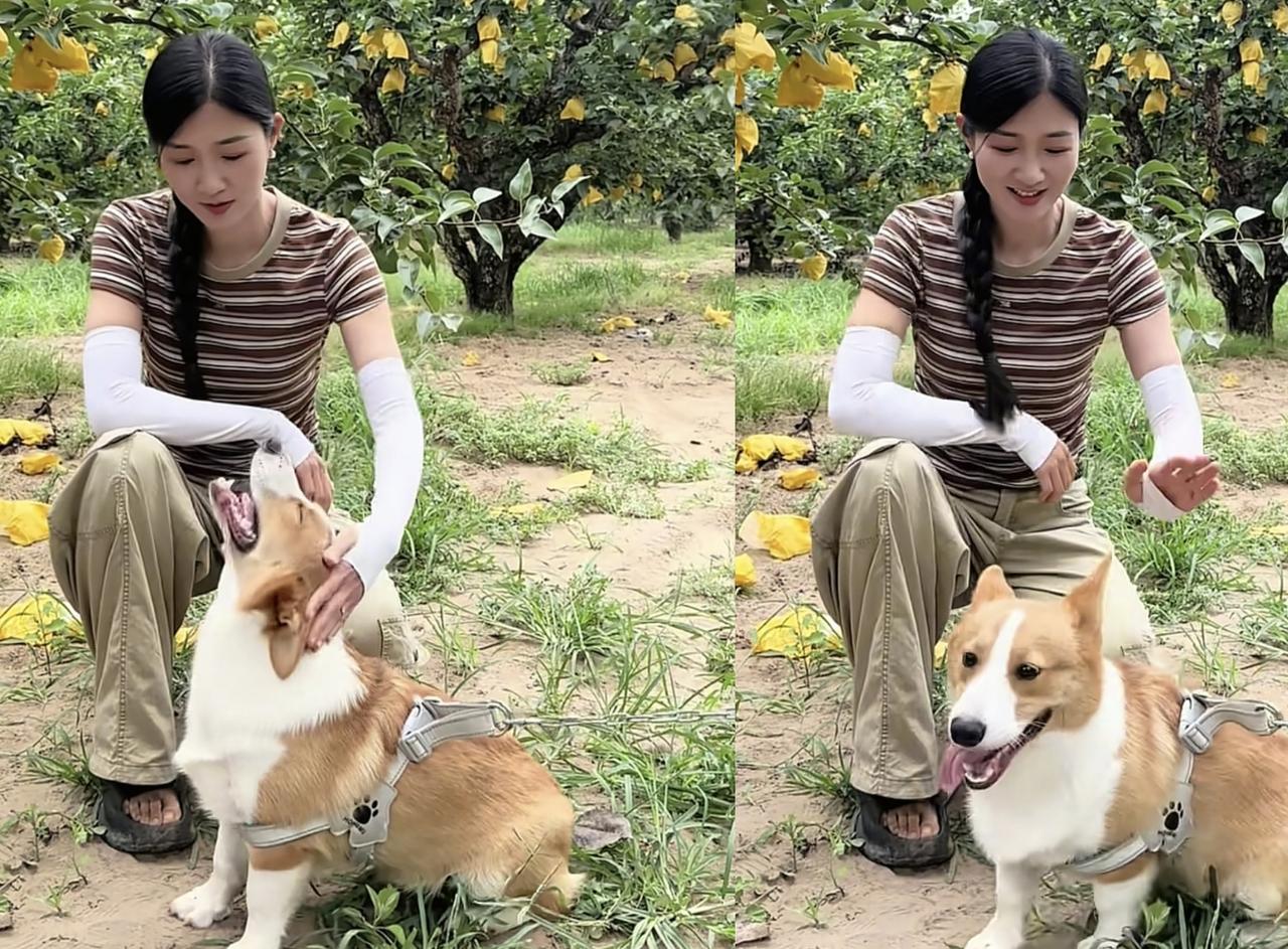 同频的人总能聊到一块曾芊雅三水互动认老乡瑾汐发文和厉怀远撇清关系不知道大