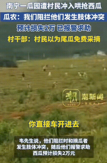 “偷瓜？”南宁一西瓜地，瓜主采摘后剩余的部分瓜还没有采，一群村民直接开车进去猛采