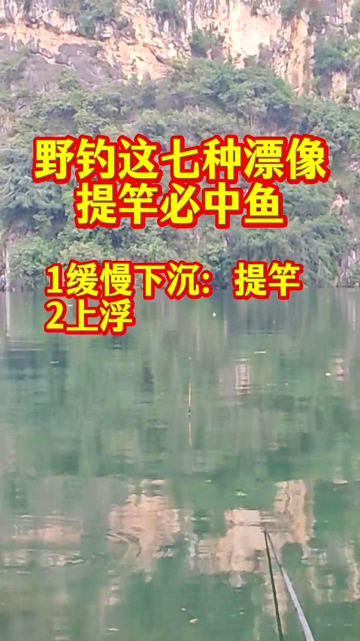 野钓这七种漂像提竿必中鱼。他把所有的话都留给了水里的浮漂，一整天就那么盯
