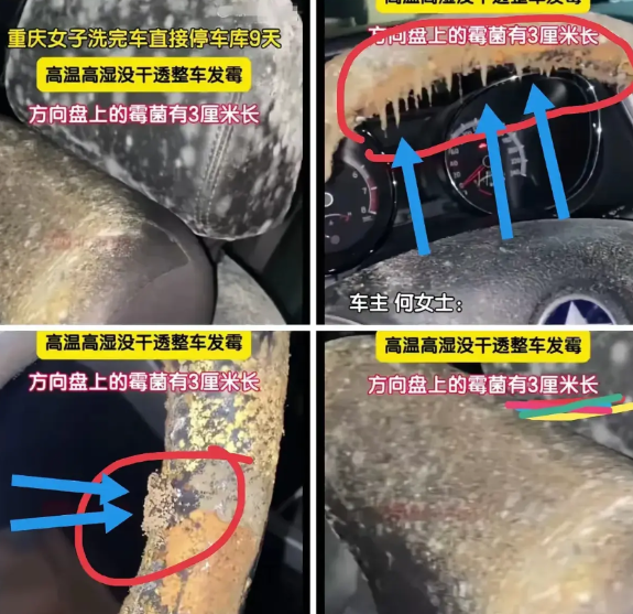 重庆何女士的车子被洗了个干干净净，结果没几天就发现车里长霉了，霉菌长在了方向盘上