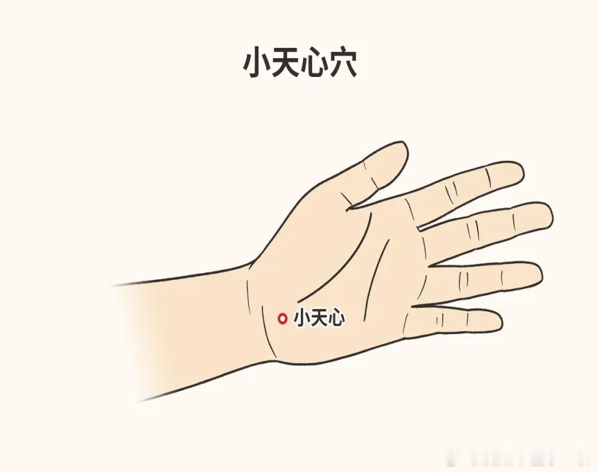 小儿推拿中有一个穴位，叫捣小天心。小天心的位置，就在大小鱼际之间的凹陷里，用中指
