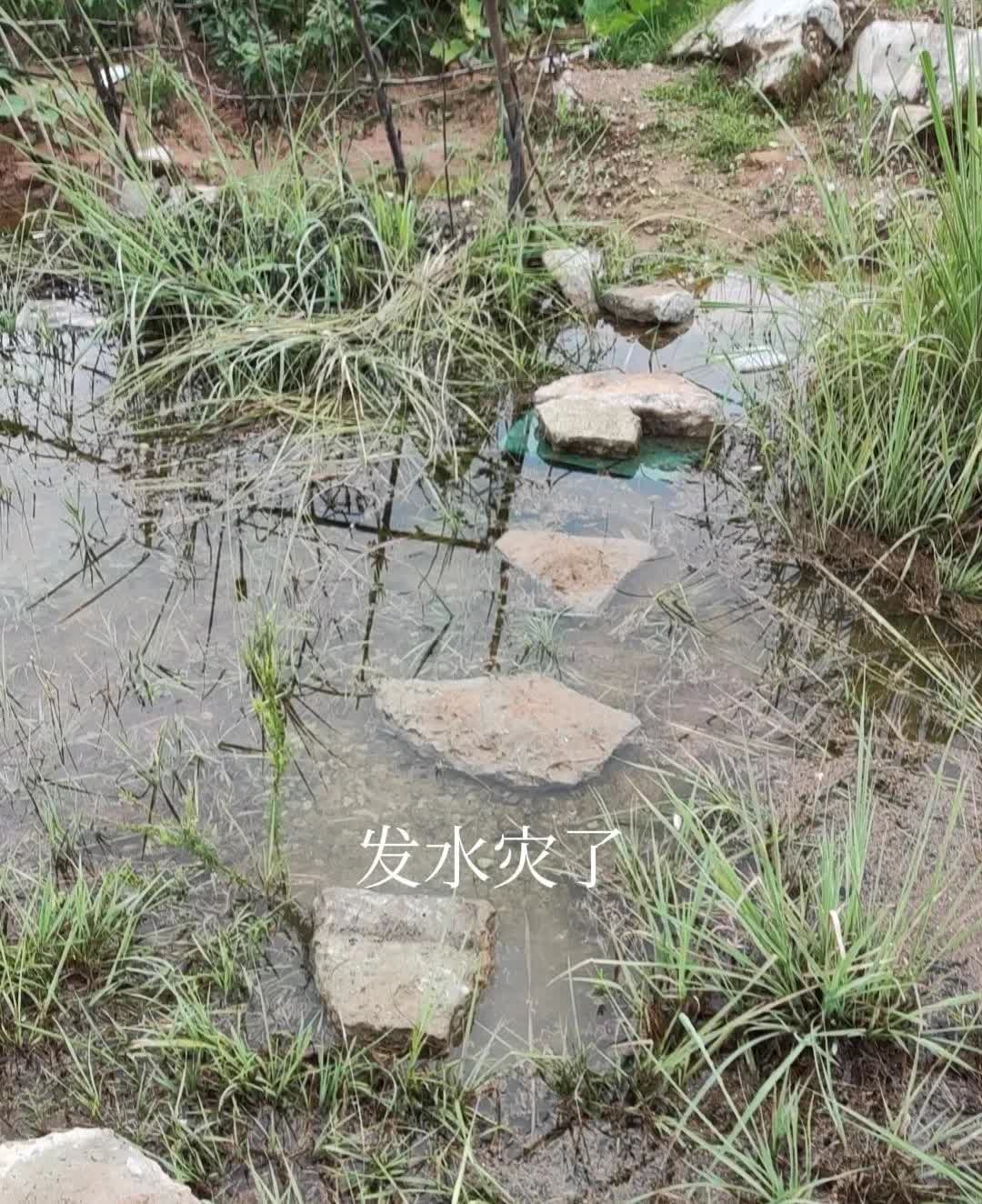 个人感觉汽车真的不用那么大我开了十三年的私家车坐我车子次数最多的是老婆