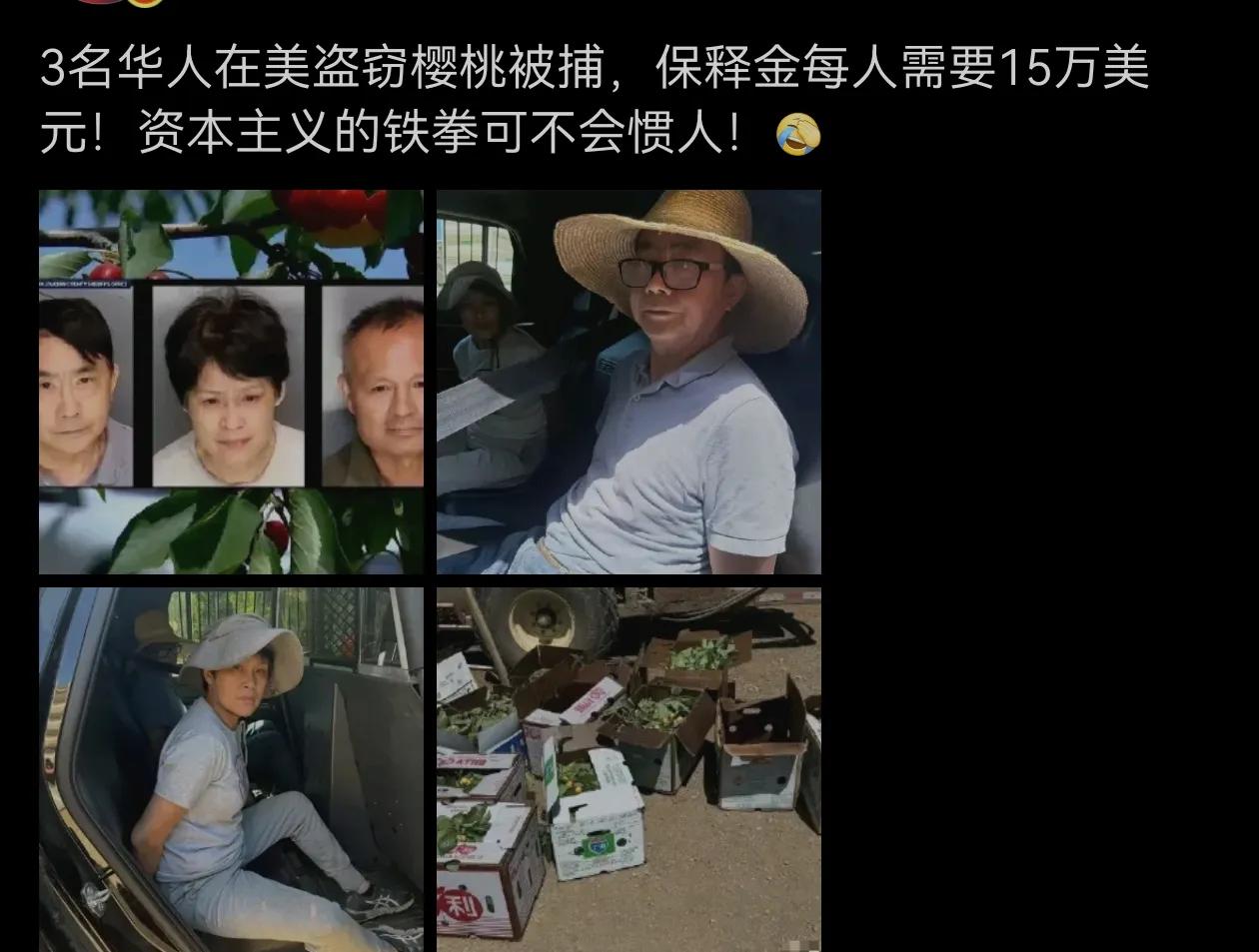 在资本主义国家犯个罪，成本挺高，代价不小！