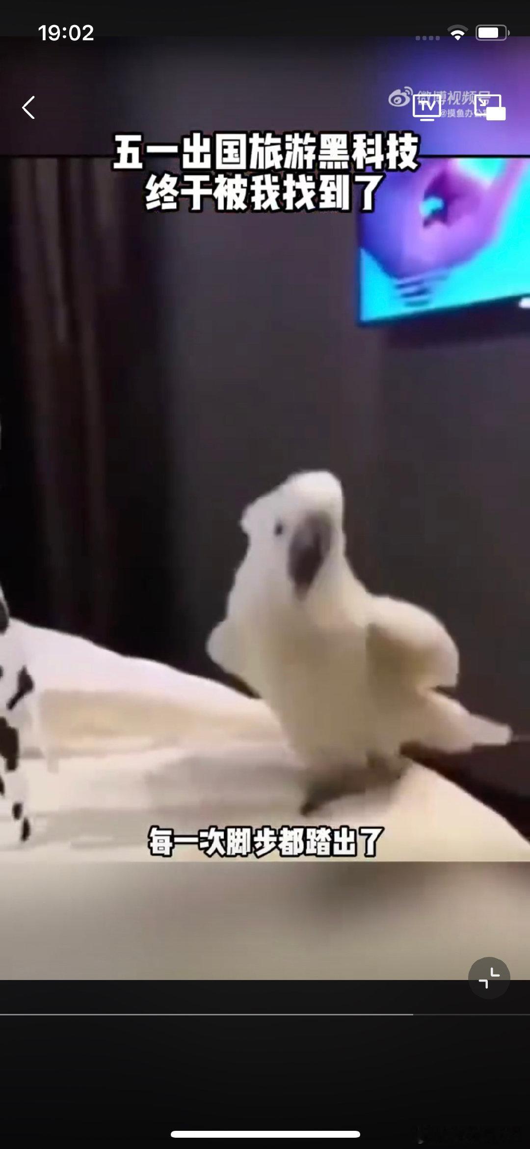 五一出国旅游黑科技终于被我找到了在泰国的药店买药，因为语言不通，都不知道该买哪种