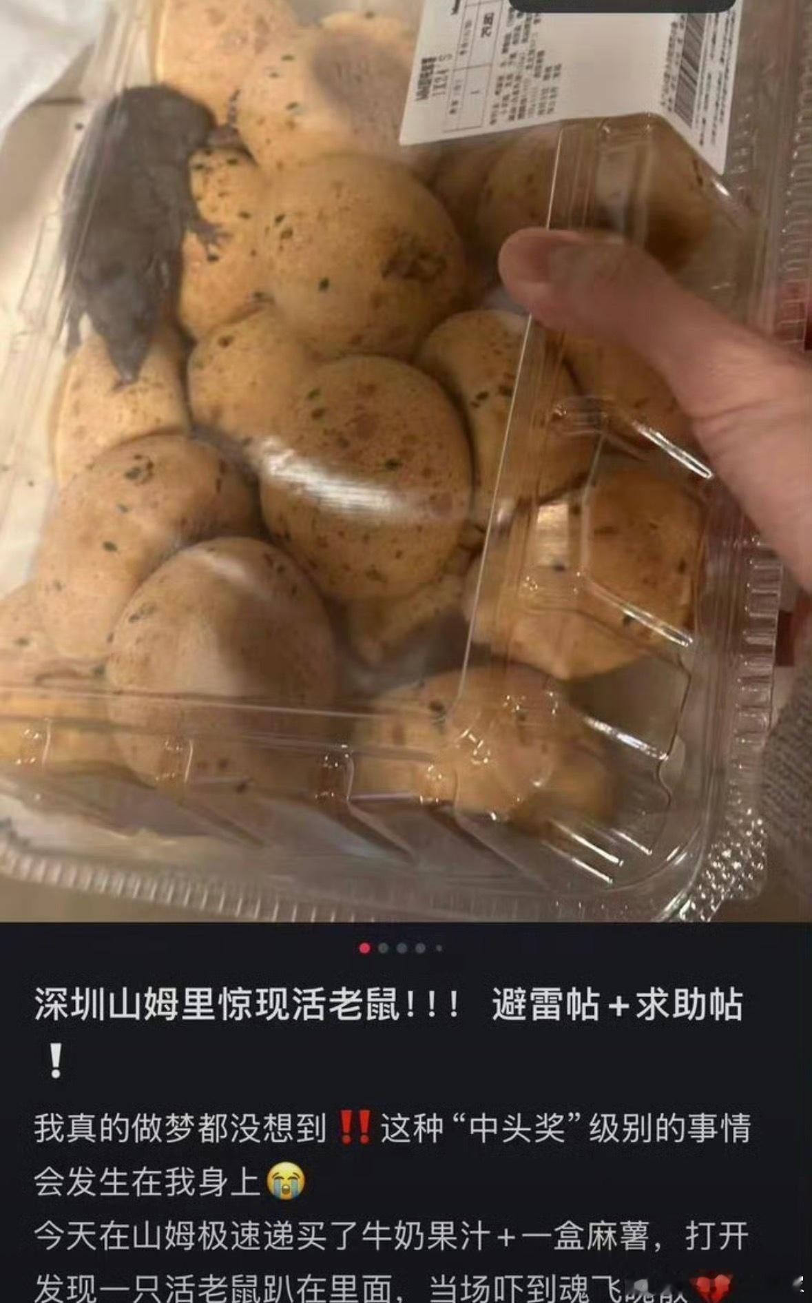 说实话，死老鼠我都能理解，活老鼠不可能，麻薯都是当天现烤现装，而且这个盒子很严实