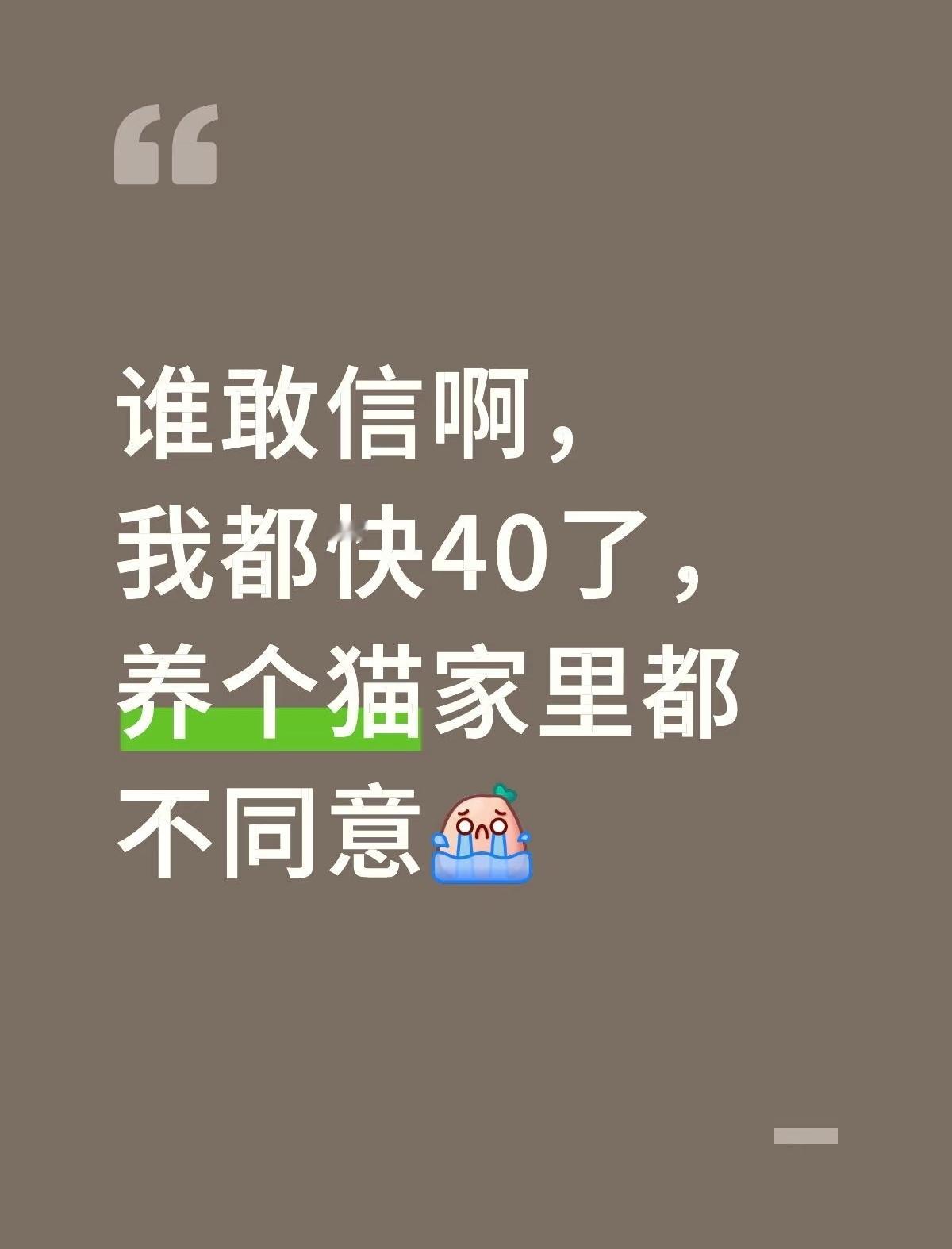 家里人不让养猫,怎么了?我觉得那些鼓吹不管不顾强势养猫的人才是坏。一家子生活在一