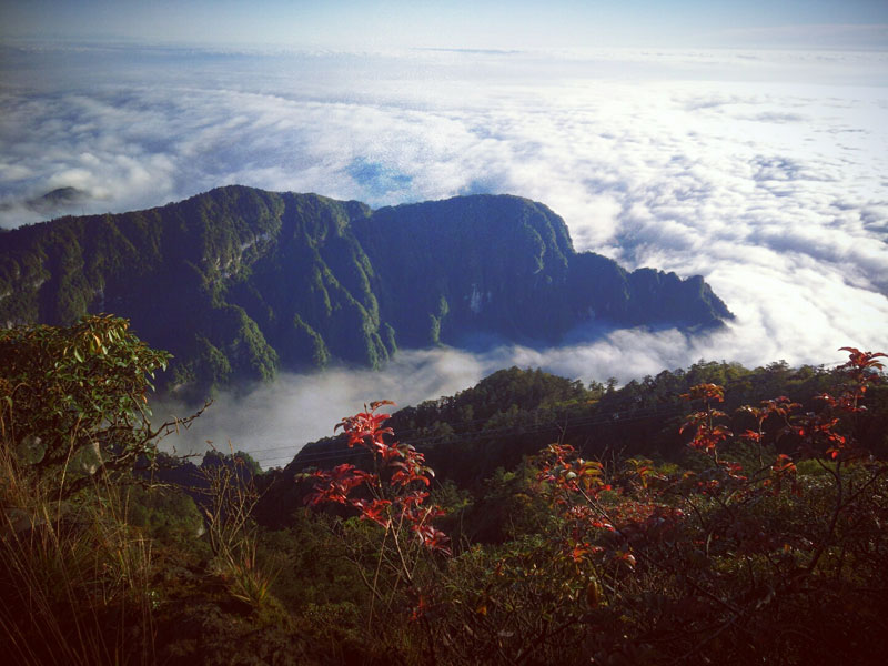 今晨,峨眉山金顶远眺贡嘎雪山!