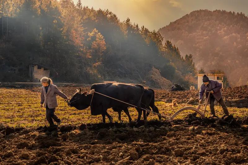 他们没有像城市退休老人那样稳定的退休金，微薄的养老金对于维持生活来说只是杯水车薪