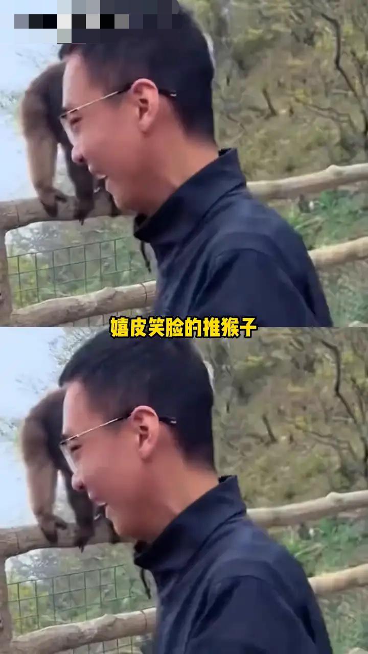 峨眉山一幕，看得人气炸！真的，看完这段视频我手都在抖！四川峨眉山景区，一只猴子