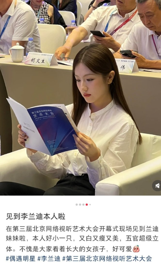 谁来给李兰迪递一个高干题材的本子​​​