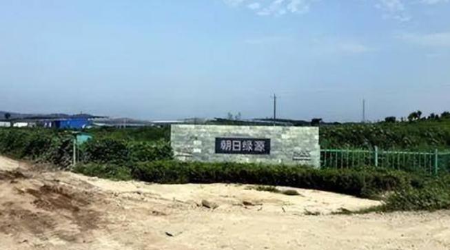 2006年，日本人向中国投资了15亿，在山东租下了1500亩地，居然什么都不种，
