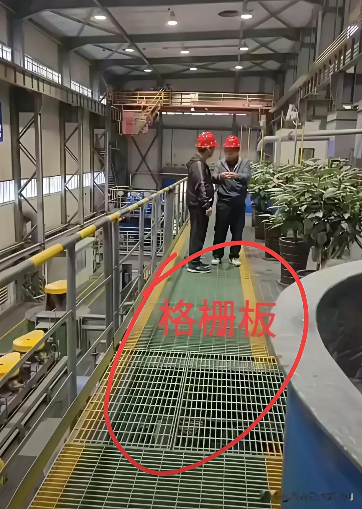 东北大学溺亡的6名大学生，家庭条件都不好，有的还是村里第一个大学生，成绩相当好，