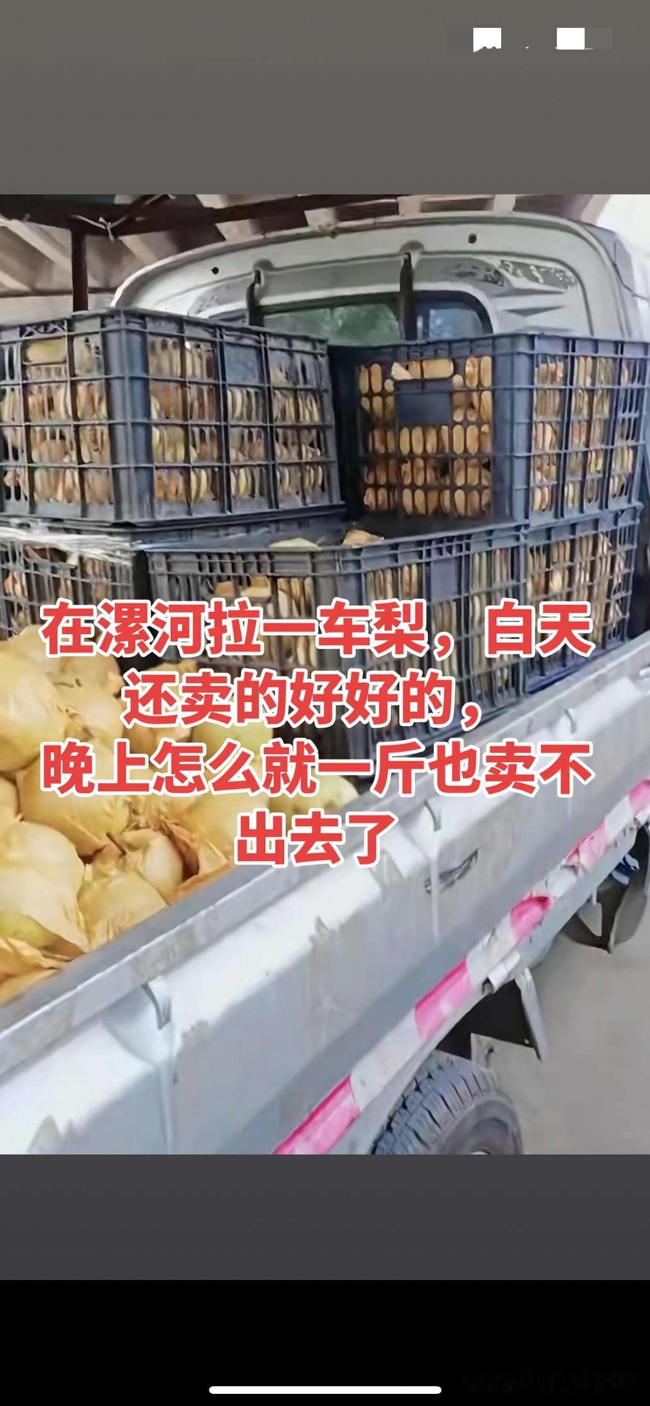 一个卖梨的老头，你这么大年龄了，你不为自己想，也要为你后代想想吧，为了这五万元钱