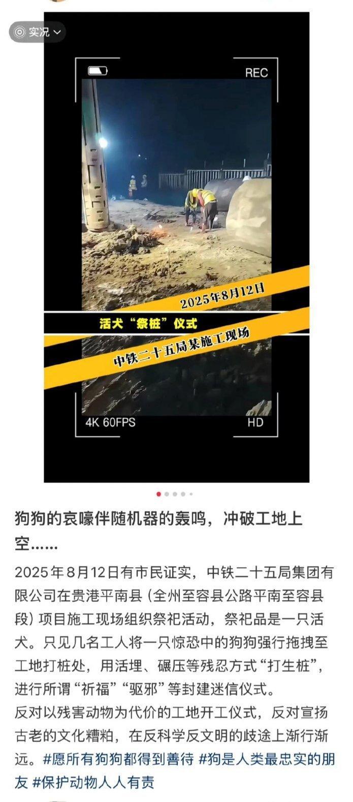 某工地用活犬祭祀祈福本是盼平安，可拿无辜的狗撒气算啥？它们温顺不反抗，就被活埋，