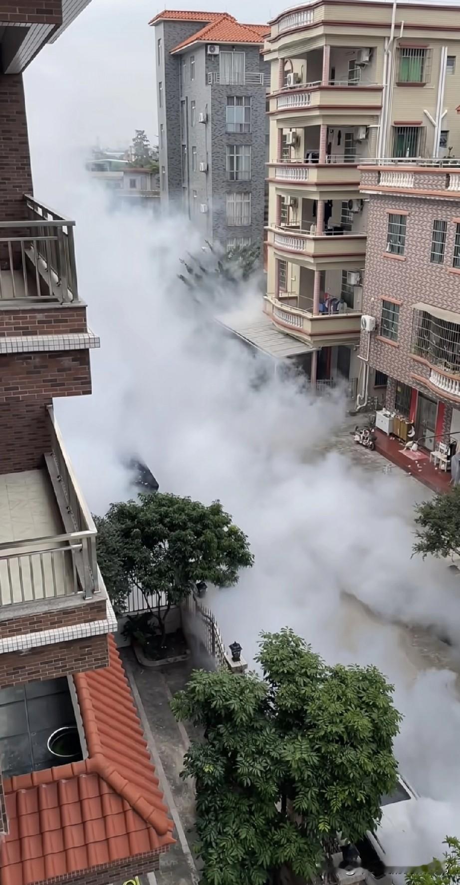 广东住天庭视角！整栋楼裹在白烟!广东网友阳台拍的画面直接给我看愣——整栋楼
