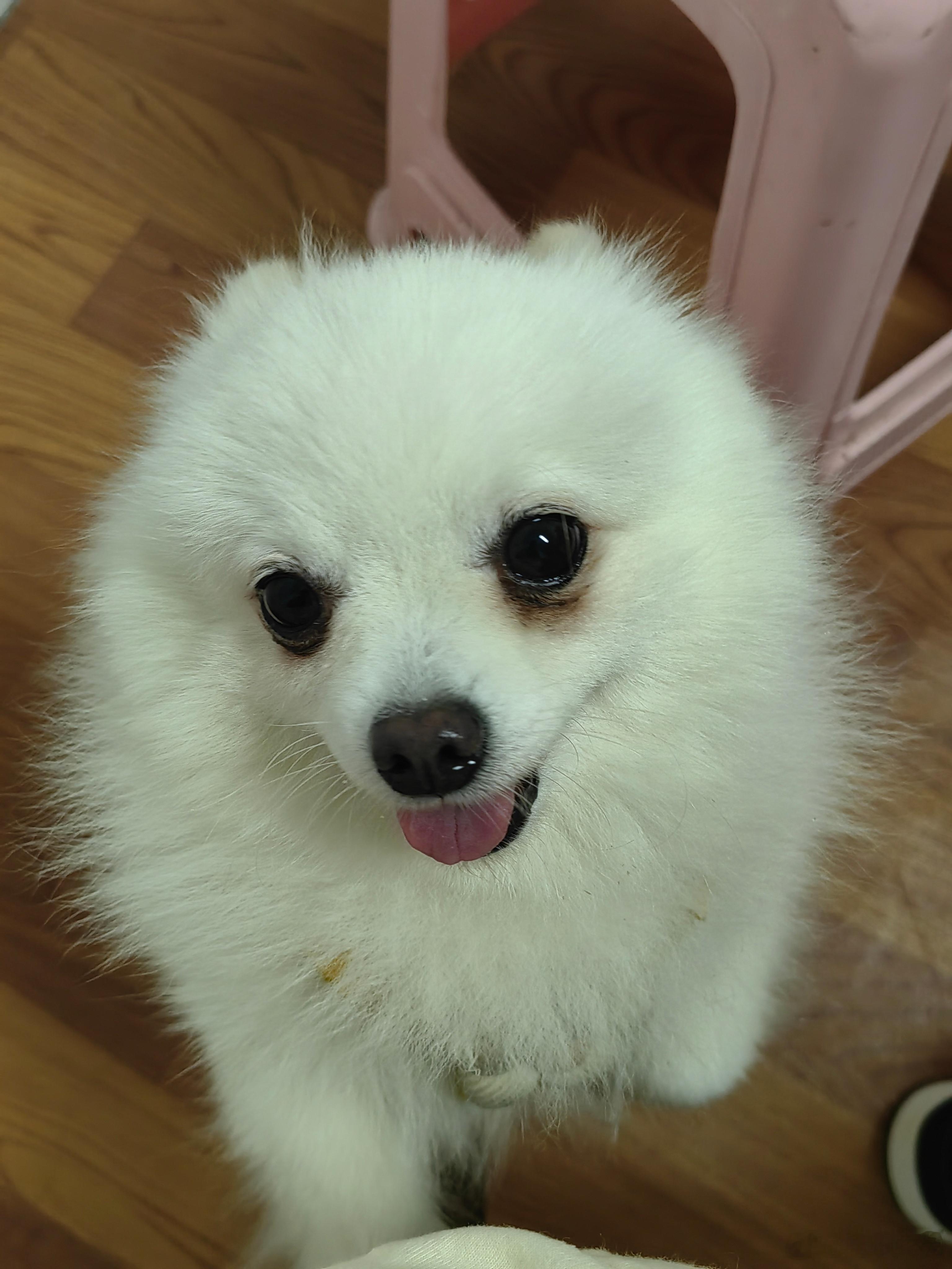 没更是因为因为最近忙我在看初高中英语​​​