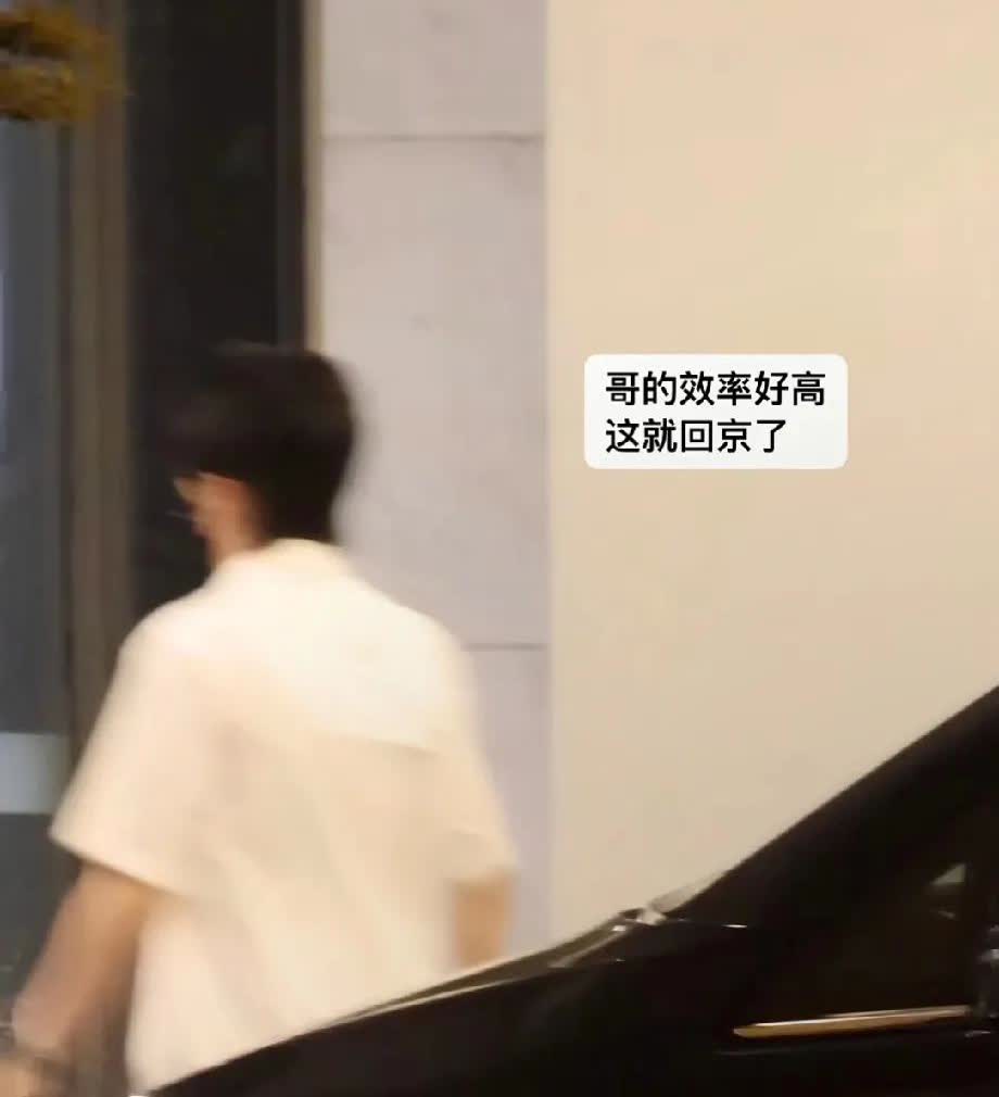 🦁：🎈哥，下午请个假去趟上海！🎈：去上海干嘛[？？？][？？？]