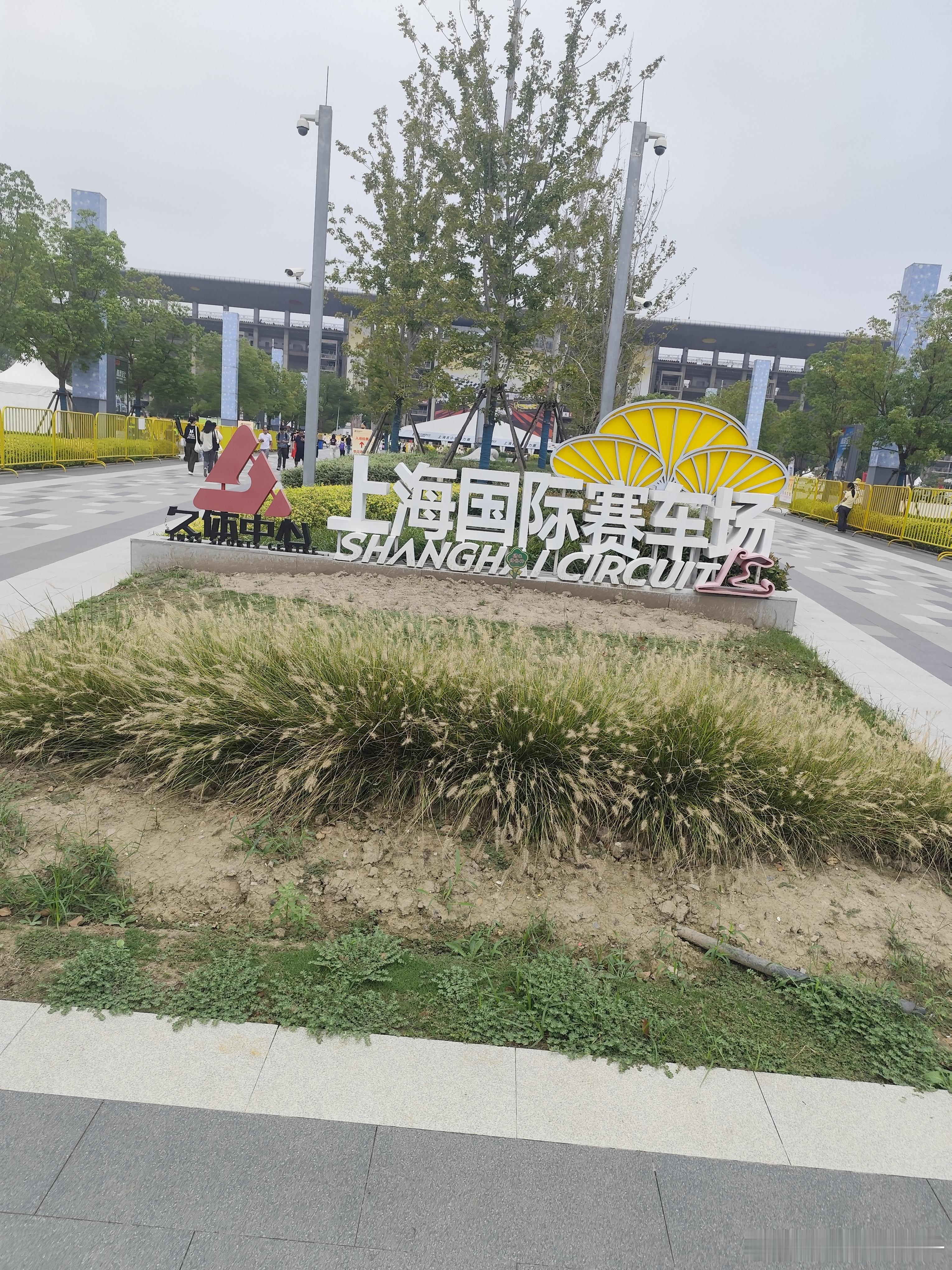 上赛补药赶我走​​​