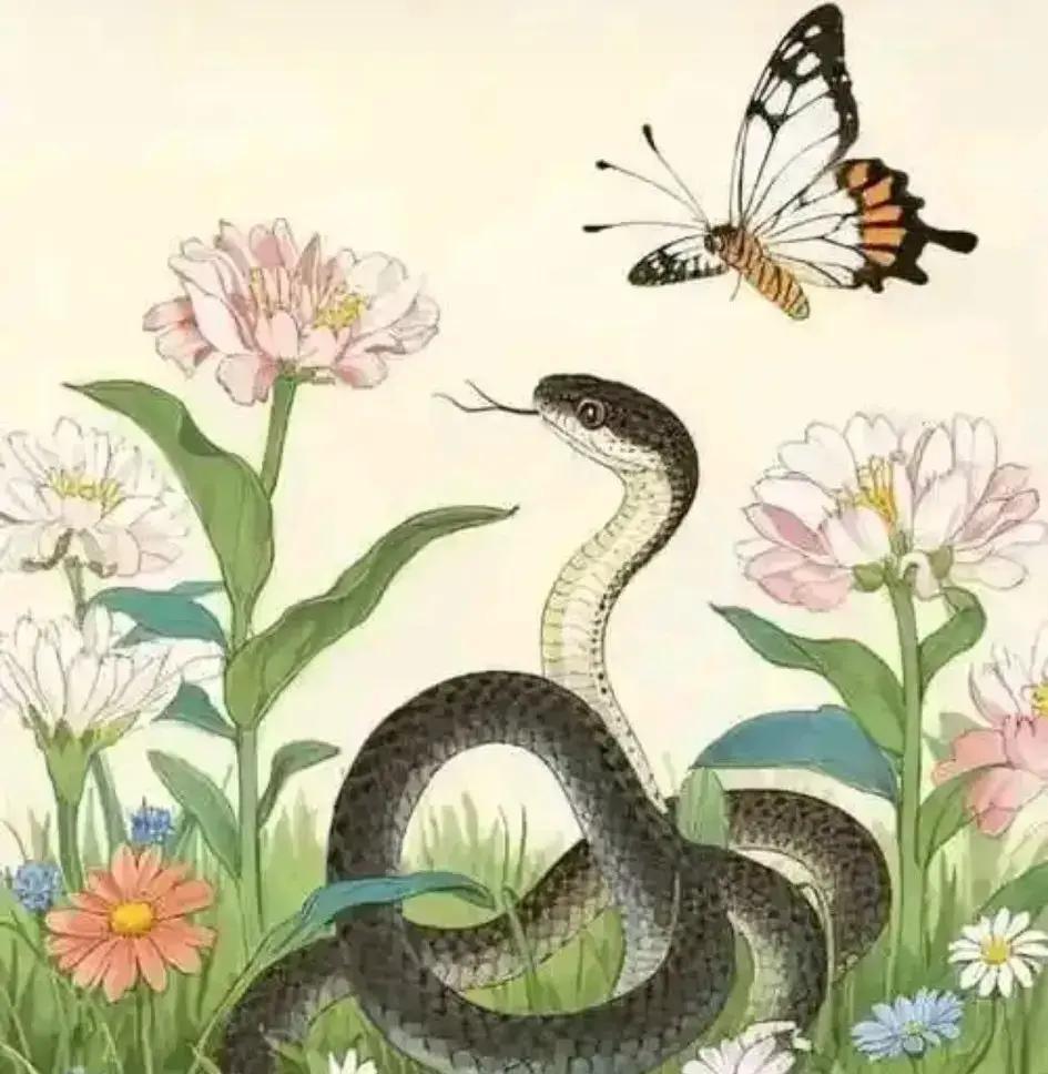 2026年一开年，1953年属蛇的长辈们就迎来73岁这个节点，很多人以为晚年就图