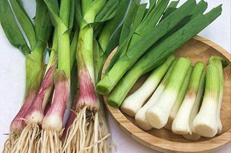 蒜苗是血糖“杀手”？医生反复强调：高血糖老人要少吃这4种蔬菜自从有传言蒜苗是