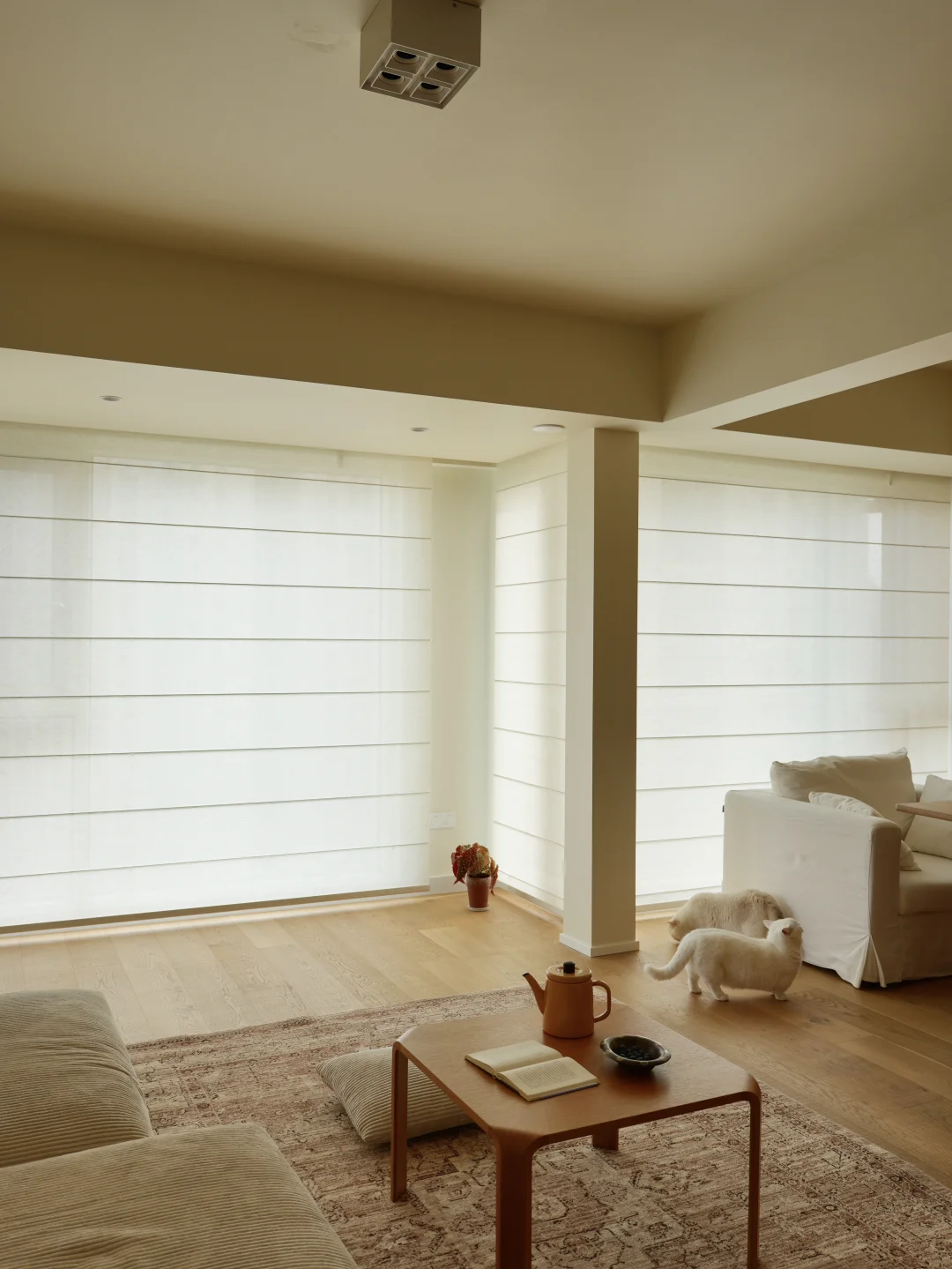 终于理解为什么客厅都装智能罗马帘了......