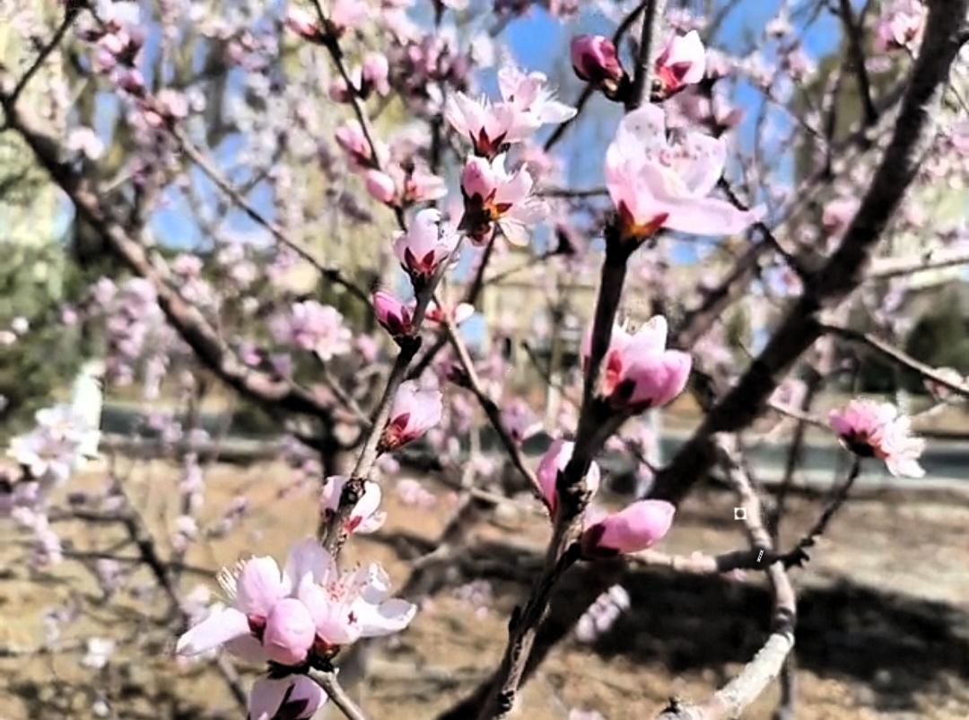 2026教师严查风暴来袭！倒查3年，这5类老师直接丢饭碗！老师们要注意了！20