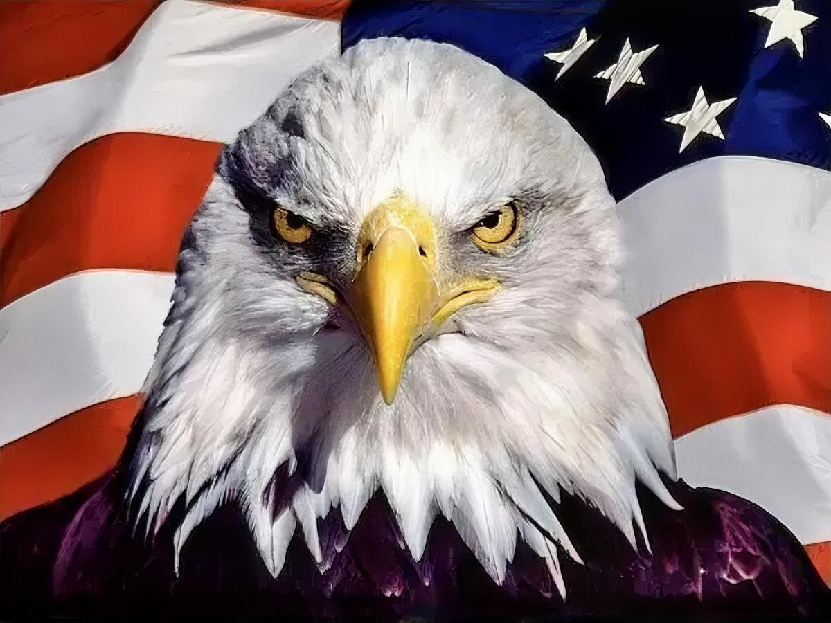 这世界就是个巨大的草台班子，美国是导演兼主演，剧本想怎么改就怎么改……趴