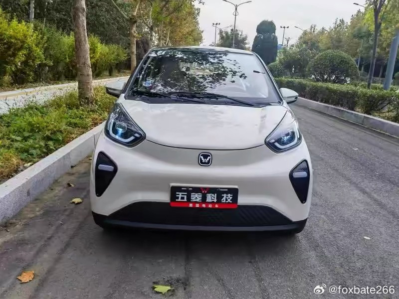 五菱小蚂蚁。。。