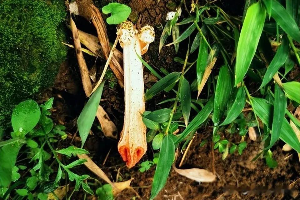 “初三五不吃，财福进家门”！大年初三哪5样不能吃？老规矩要懂正月里年味正浓