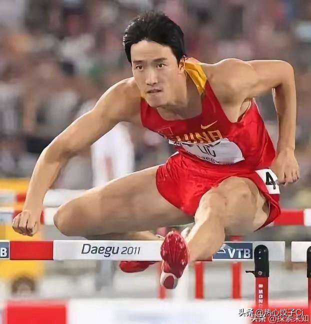 刘翔曾在采访中说，谁不想替我说几句，一旦发生了事情之后，谁不想替我说几句。人就是