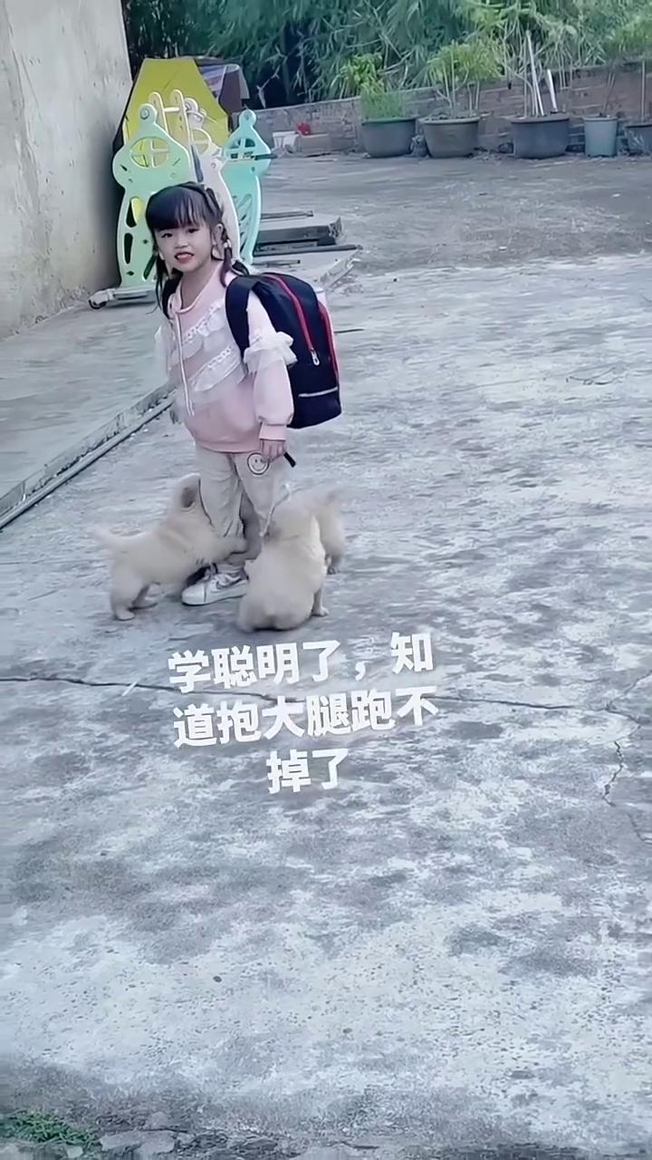 学聪明了，知道抱大腿跑不掉了。