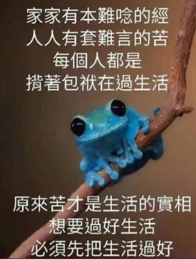 总有人说“留岛不留人”这个想法太极端了，这个说法哪里极端了？我觉得刚刚好。留岛