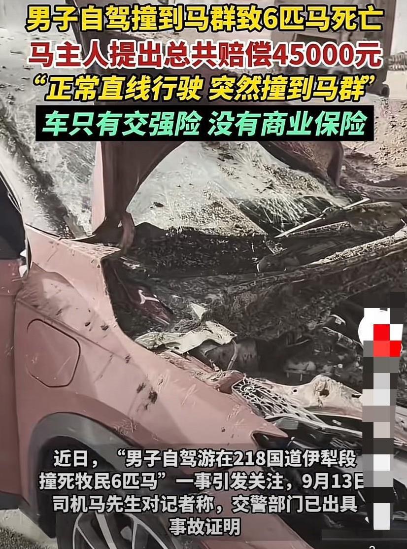 男子一行4人从河南开着一辆新能源汽车到西北自驾游，开启辅助驾驶模式，途经218国