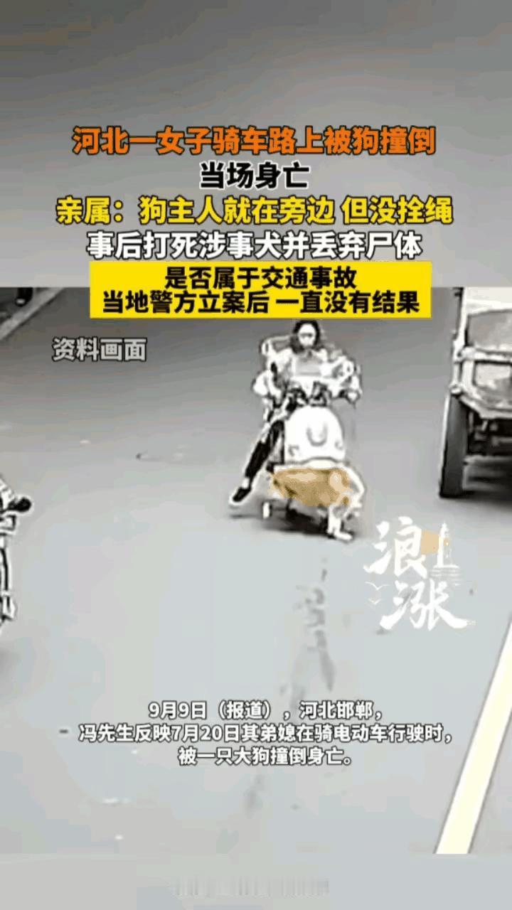 这个事故太惨了河北一女子正常在马路上行驶，突然窜出来一条大狗，把女子连车带人