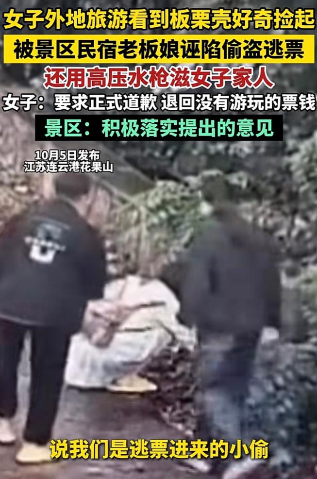 2025年10月江苏连云港，女子和家人去花果山游玩，见路边有树上掉下来的带壳栗子