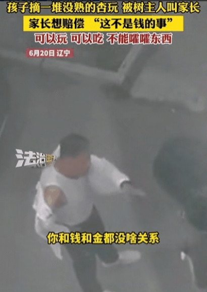 哭笑不得！辽宁，女孩摘了一堆没熟的杏子，扔得满地都是，杏树主人找来女孩家长，家长