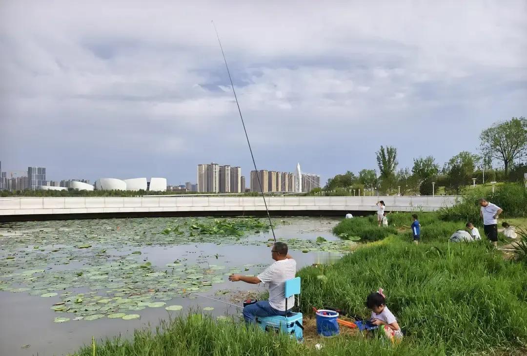 我三十七岁那年第一次跟同事去郊区水库，早上五点出发，太阳刚冒头，水面像刚擦干净的