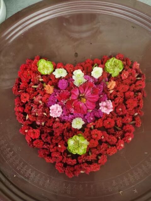 你怎么看？打工族“临时夫妻”，各有家庭却搭伙过日子！今天是个好日...