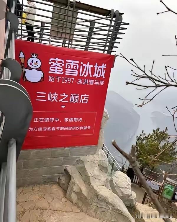 景区山顶开奶茶店，你怎么看？