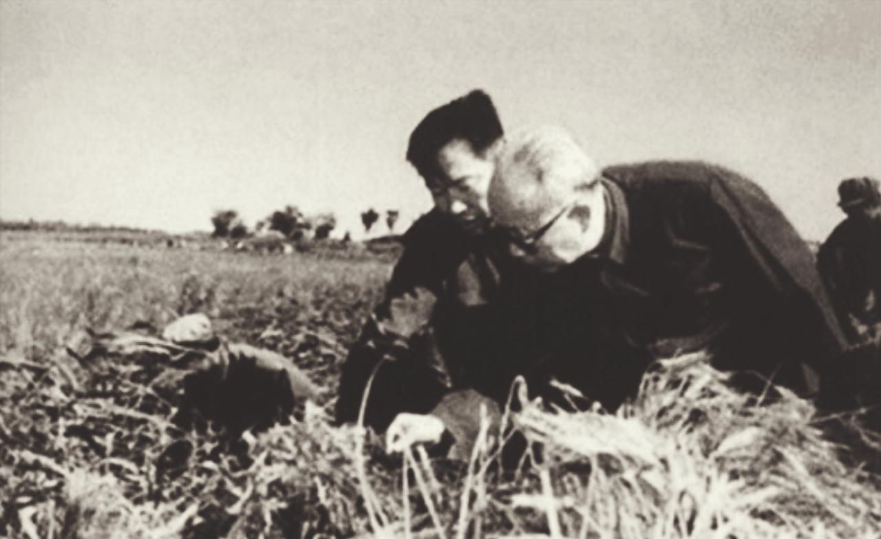 1977年夏，轻工业部万副部长赶去安徽赴任（担任了第一书记），立即前往各地视察。