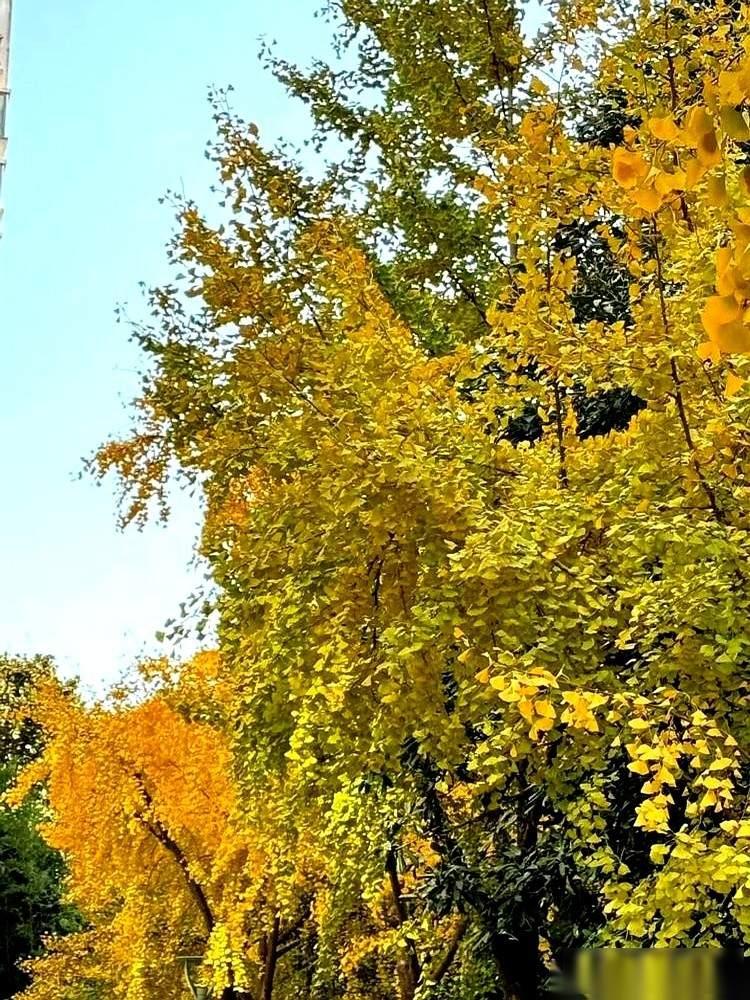 我们学校一个快60岁的老师，昨天正式退休了。这事儿一下就把我干懵了。昨天在