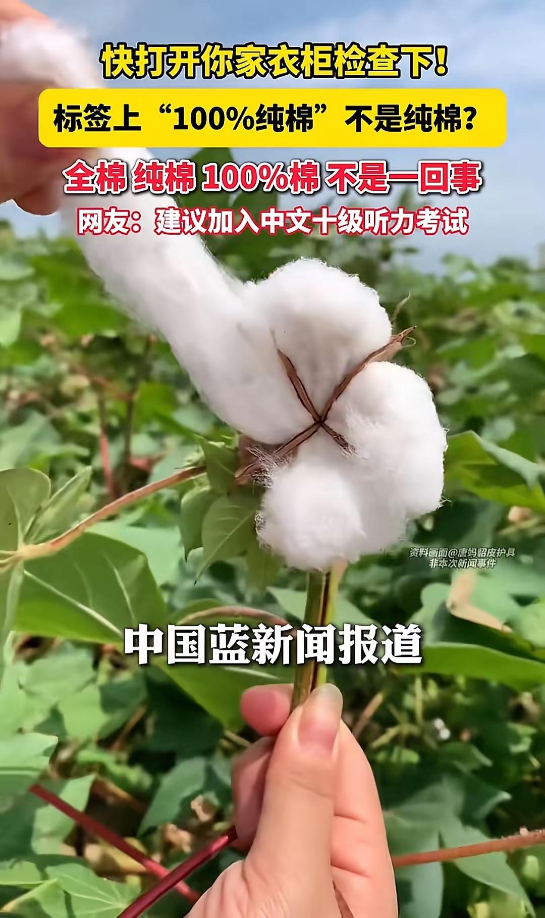 快打开你家衣柜检查下!标签上“100%纯棉”不是纯棉？100%全棉也不是棉