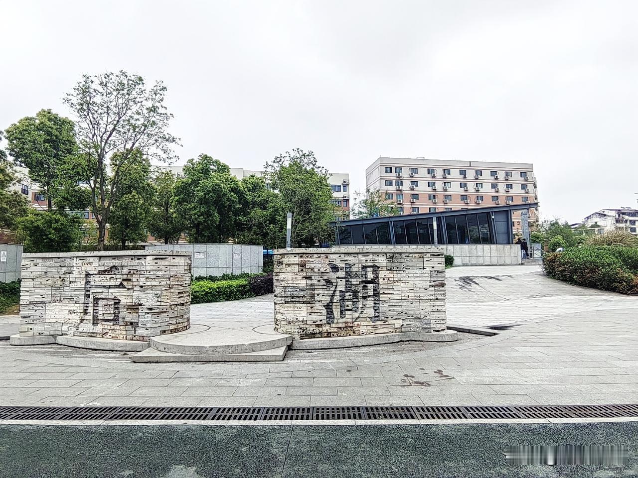 长沙一连下了十来天雨，今天终于停下了脚步，我来到后湖玩，堤岸的柳枝乘着东风荡着秋