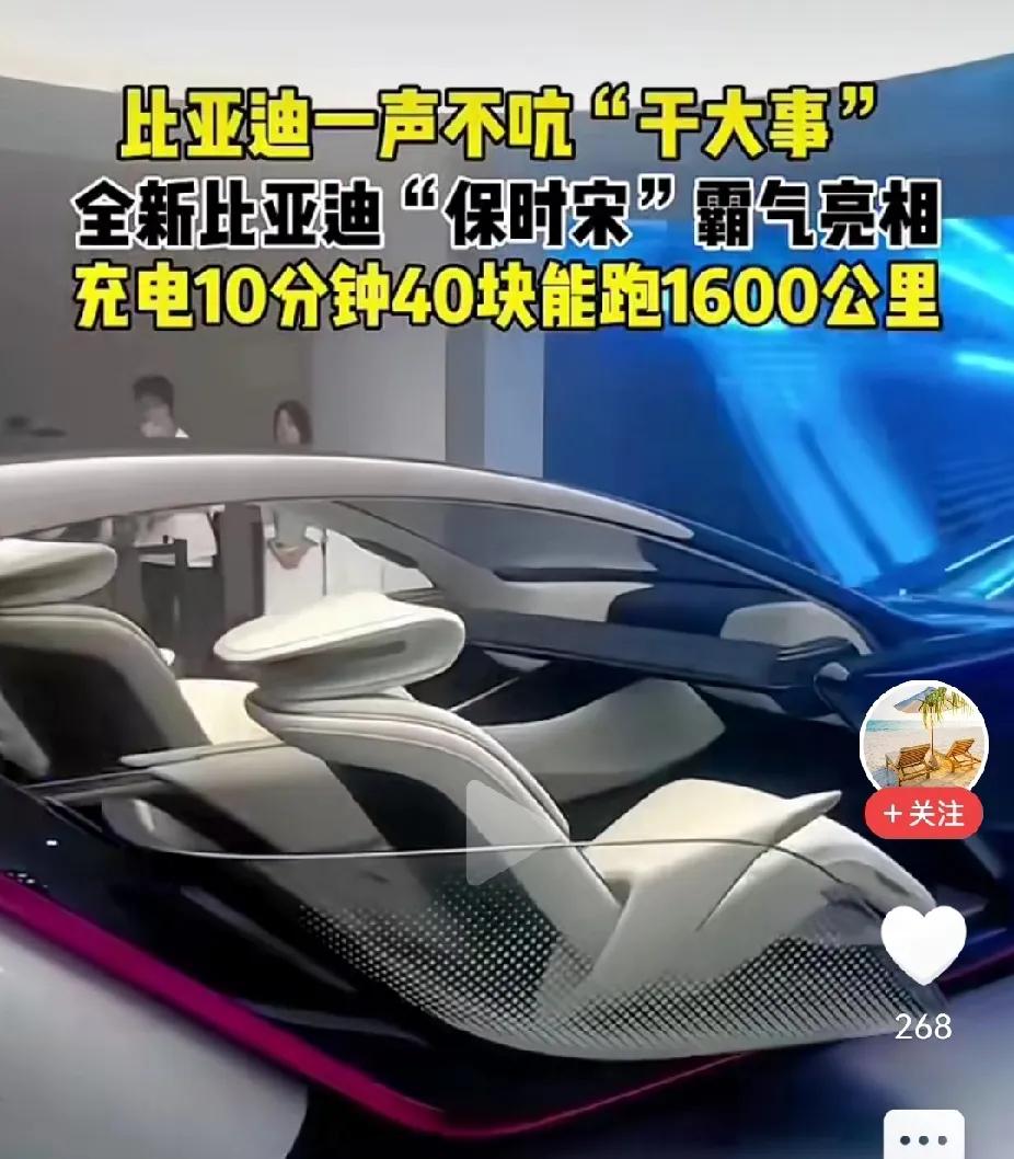 网文经典摘要，比亚迪疯狂降价，而财务依然充裕，去年挣了402亿，却交税达510亿