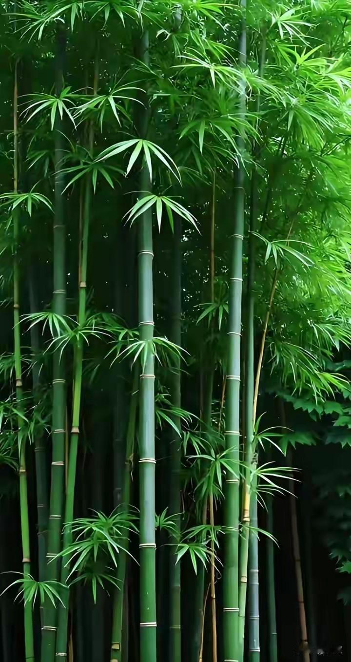 上联:雪打松枝梅花俏下联:风摇竹影杏蕊娇横批:冬去春来