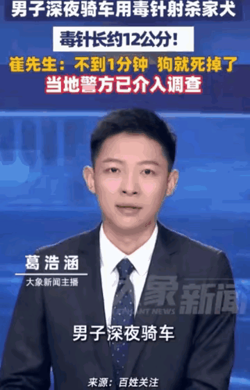 深夜小区当众“暗杀”宠物！浙江这黑衣男子的猖狂，看完让人后背发凉！5月22日大