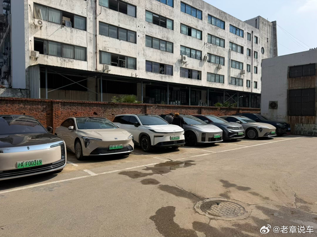 同事们开什么车？除了几台老车型是蓝牌车！