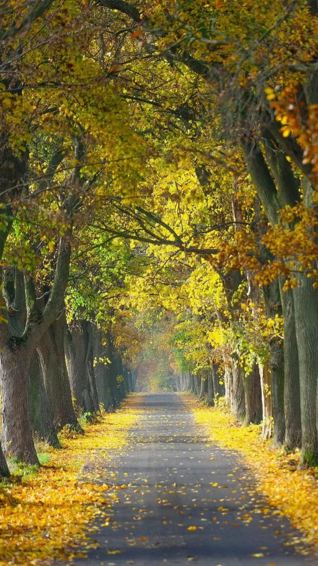 《佛弟子修行到底追求什么？一文看懂内心的终极答案》《修行路上的真相：佛弟子到底