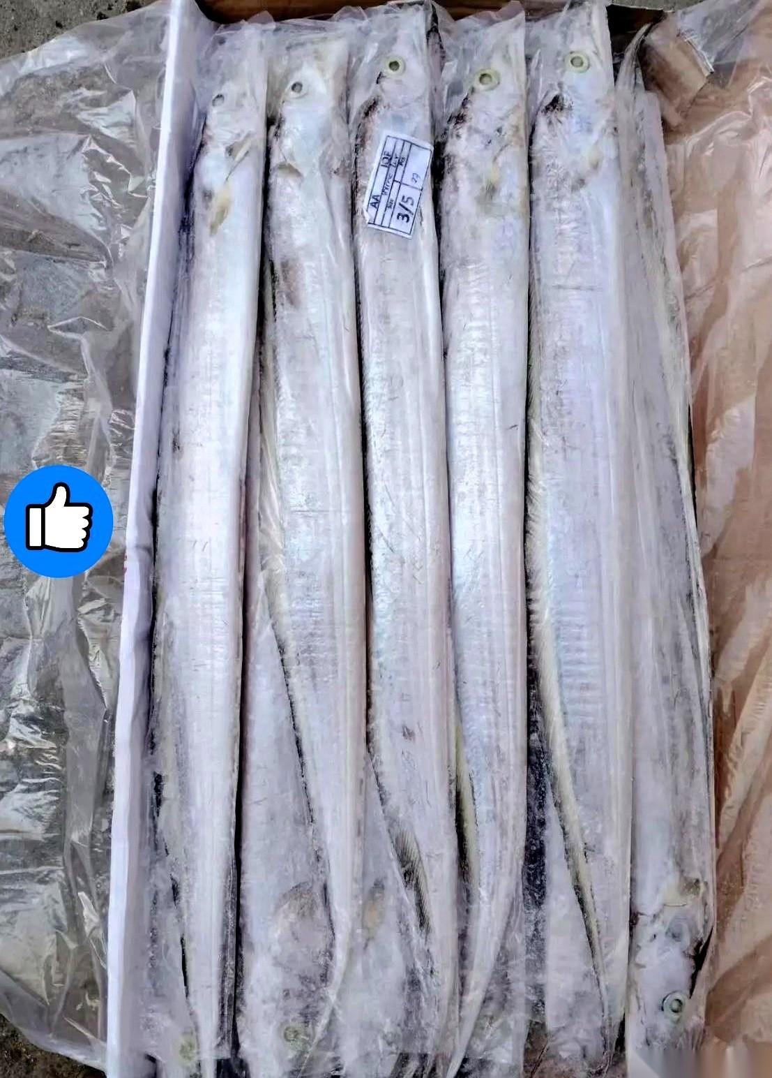 在菜市场卖了15年鱼的老哥，算是给我上了一课。他指着摊位上一排排又白又亮的“舟